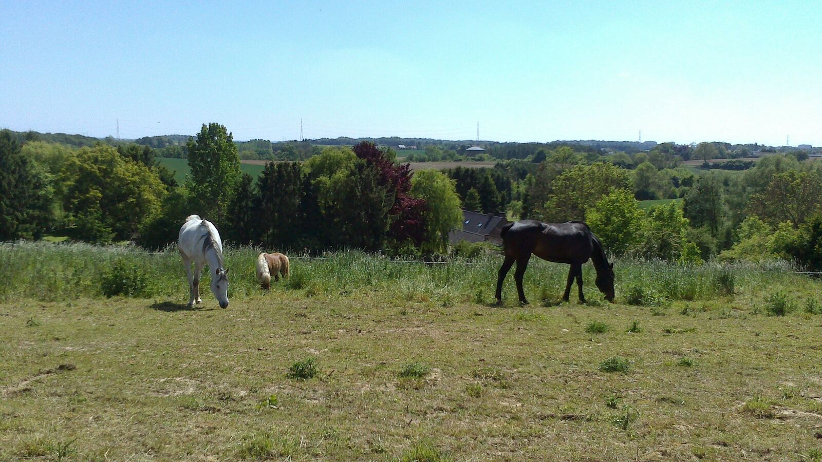 Prairies de Bothey