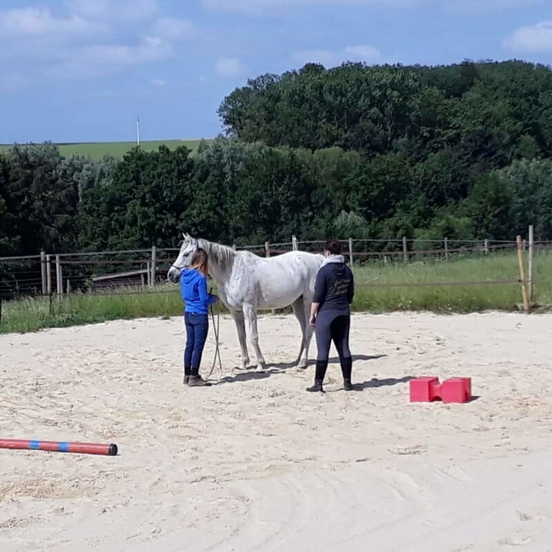 Séance sur mesure avec cheval