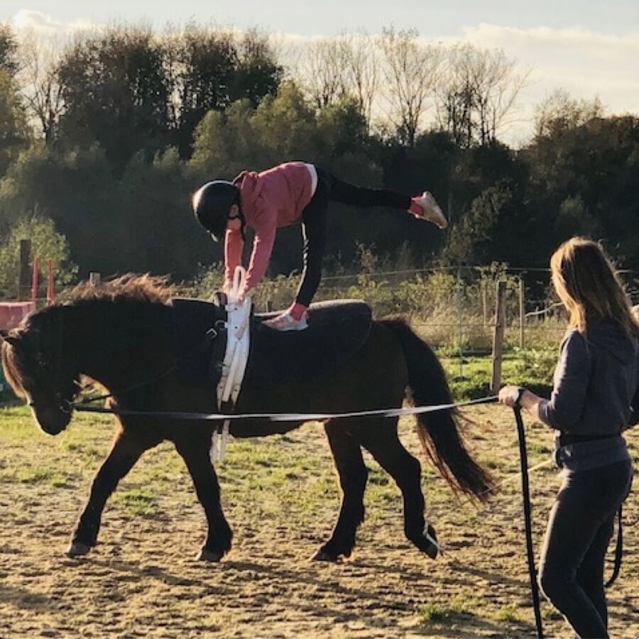 Cours de voltige